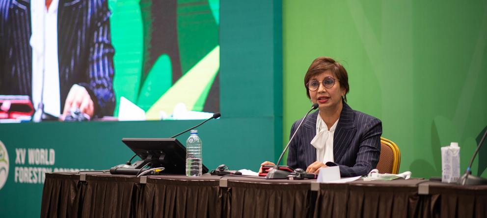 Kavita Sinha Fond Vert pour le Climat